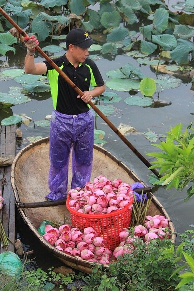 Hanoi’s lotus tea-making art - 7