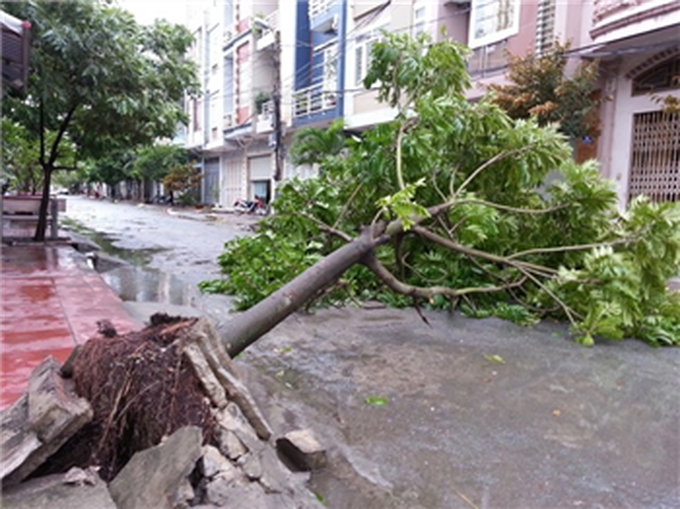 Haiyan makes landfall, weakens into depression - 1