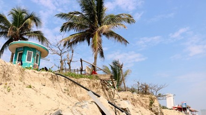 My Khe beach faces erosion danger - 1
