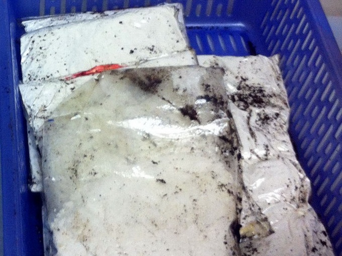 Deputy PM asks to clarify huge heroin trafficking case - 1