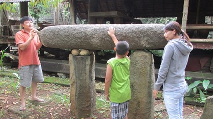 Cafe owner unknowingly collects million-year-old fossils - 2 Cafe owner unknowingly collects million-year-old fossils - 2