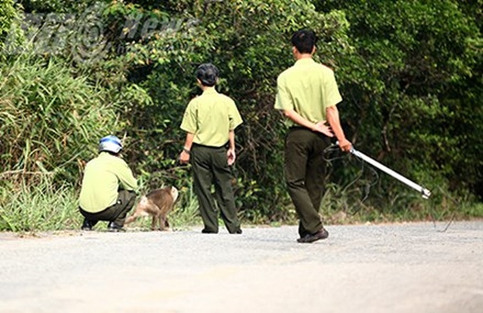 Fierce monkey attacks tourists in Danang - 1