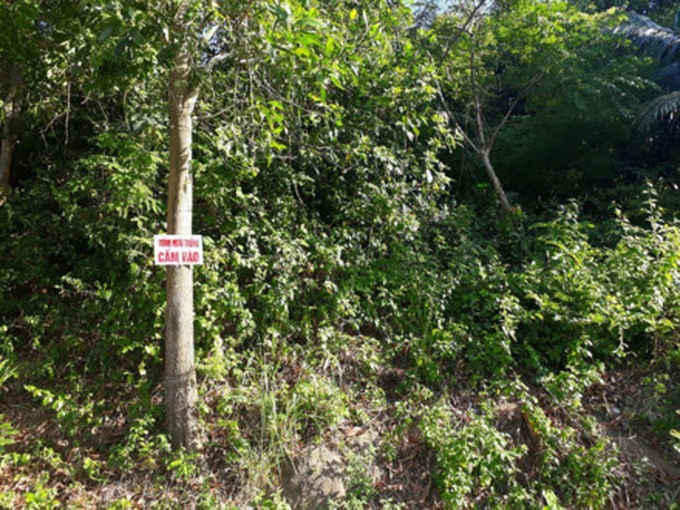 Developers illegally proceed with Son Tra development plans - 1 Developers illegally proceed with Son Tra development plans - 1