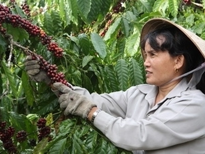 JICA plans increasing ODA for Vietnam’s agriculture - 1