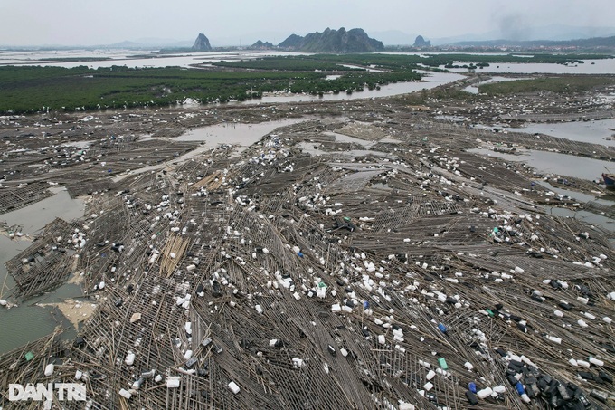 Thousands of Quang Ninh fish farms get rebuilding support - 1