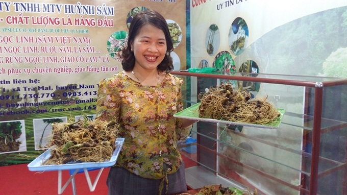 International Ngọc Linh ginseng festival set for 2025 - 1