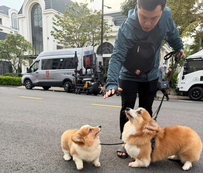 Pet care services see Tet surge in Ho Chi Minh City - 5 Pet care services see Tet surge in Ho Chi Minh City - 5