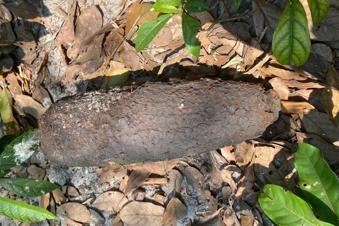 Artillery shells found in fields in Hue City - 1