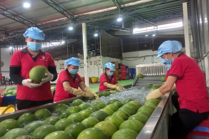 Vietnam's exports to Australia rise by nearly 30 per cent - 2