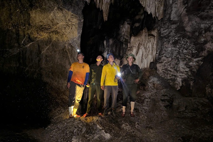 Large cave discovered in forest of Quang Tri Province - 1 Large cave discovered in forest of Quang Tri Province - 1