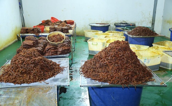 Dong Nai busts network selling 65 tonnes of fake dried beef - 3 Dong Nai busts network selling 65 tonnes of fake dried beef - 3