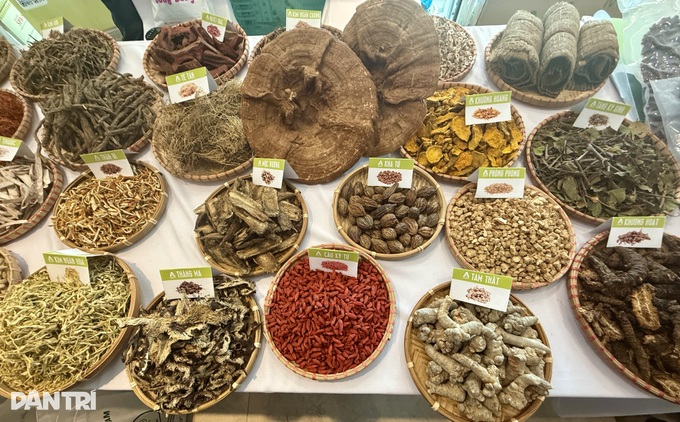 Vietnam records 7 million traditional medicine consultations - 3