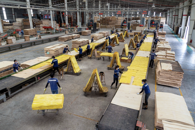 Vietnam wood exports top USD 10 billion as Europe demand surges - 1 Vietnam wood exports top USD 10 billion as Europe demand surges - 1