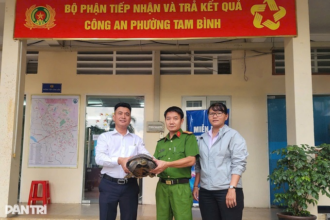 Ho Chi Minh City resident hands rare turtle to police - 1