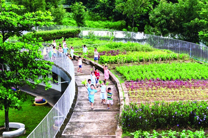 Chuyển đổi xanh ESG trong trường học - 4 Chuyển đổi xanh ESG trong trường học - 4