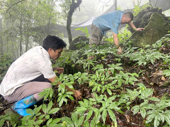 Làm giàu dưới tán rừng - 1