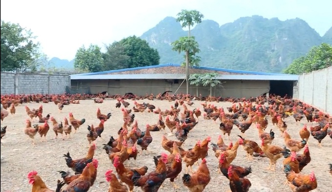 Quyết sách quan trọng kéo dài 7 năm giúp giảm nghèo miền Tây xứ Thanh - 1 Quyết sách quan trọng kéo dài 7 năm giúp giảm nghèo miền Tây xứ Thanh - 1