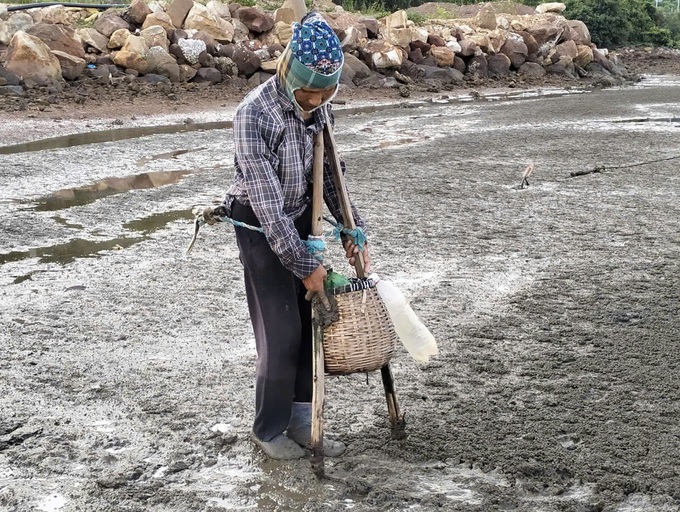 "Cào ngao, đục hàu" - Cách kiếm tiền khó tin của ngư dân Nghi Sơn - 1 "Cào ngao, đục hàu" - Cách kiếm tiền khó tin của ngư dân Nghi Sơn - 1