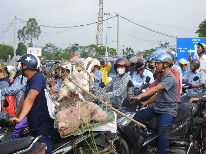 Những hình ảnh ngày đầu tiên người dân di chuyển qua cầu phao Phong Châu - 3 Những hình ảnh ngày đầu tiên người dân di chuyển qua cầu phao Phong Châu - 3