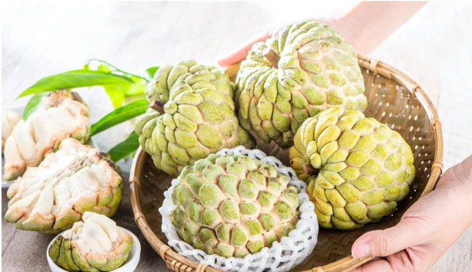 Thơm ngọt, công dụng chữa bệnh kỳ diệu nhưng quả na kiêng với một số người - 2 Thơm ngọt, công dụng chữa bệnh kỳ diệu nhưng quả na kiêng với một số người - 2