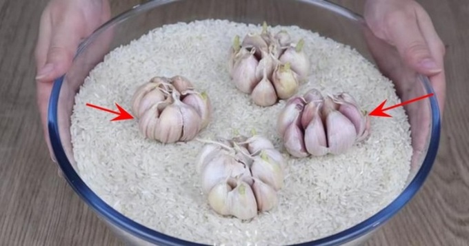 Vùi tỏi hoặc hạt tiêu vào thùng gạo, bất ngờ về điều kỳ diệu "vàng 10" - 1