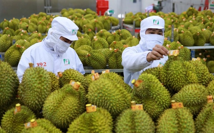 Xuất khẩu bứt phá, doanh nghiệp kín đơn hàng - 1 Xuất khẩu bứt phá, doanh nghiệp kín đơn hàng - 1