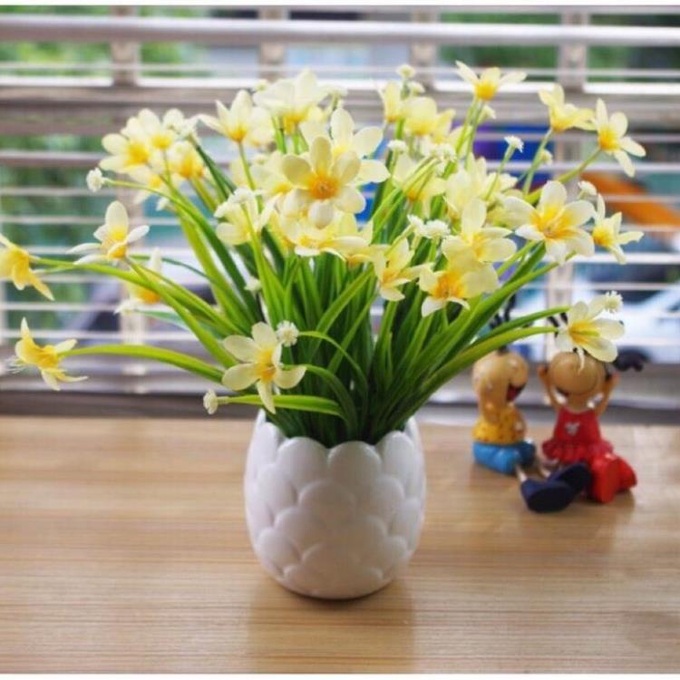 20 loại cây cảnh để bàn làm việc hợp mệnh đem lại may mắn, tài lộc năm 2025 - 12