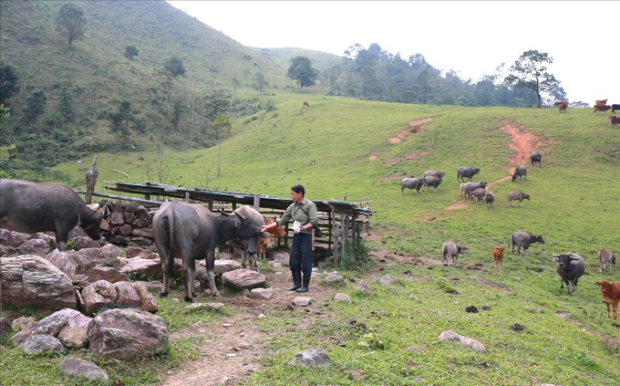 Đánh thức những tiềm năng, đưa miền Tây Nghệ An thoát nghèo - 1