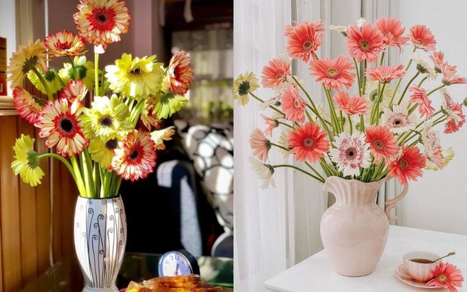 Top các loại hoa chơi Tết cát tường và cách để hoa tươi lâu đem lại may mắn - 2