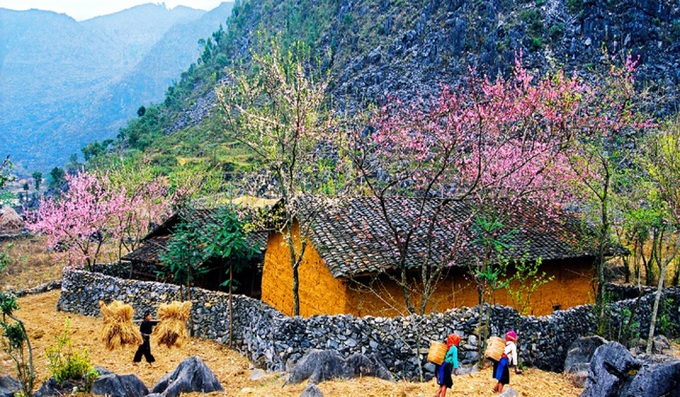 Người trẻ thích du xuân, sống chậm trên xứ đá Hà Giang - 4 Người trẻ thích du xuân, sống chậm trên xứ đá Hà Giang - 4