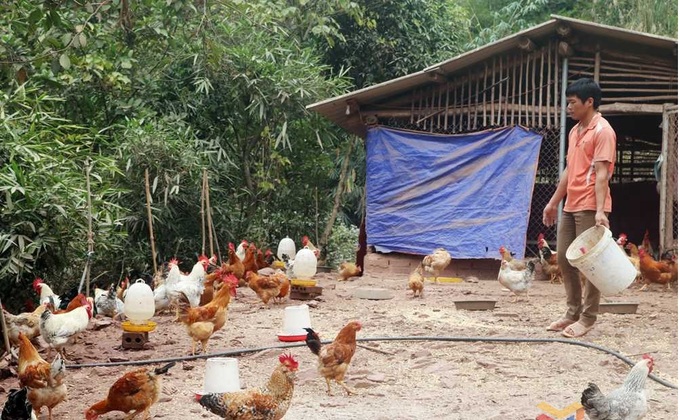 Quảng Ninh: Trao “cần câu” giúp người dân thoát nghèo - 1 Quảng Ninh: Trao “cần câu” giúp người dân thoát nghèo - 1