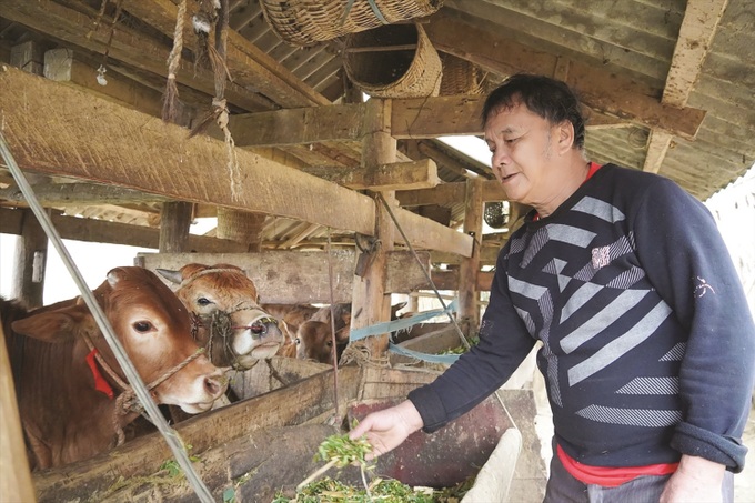 Lạng Sơn: Đa dạng hóa sinh kế, phát triển các mô hình giảm nghèo - 1 Lạng Sơn: Đa dạng hóa sinh kế, phát triển các mô hình giảm nghèo - 1