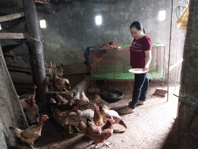 Nhiều người thoát nghèo nhờ mô hình tạo sinh kế của huyện Hưng Nguyên - 1