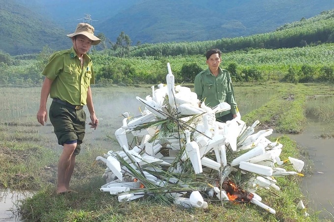 Nearly 10,000 wild bird hunting traps seized in Thua Thien-Hue - 1