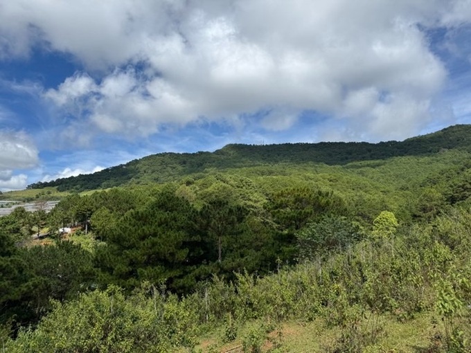 More tourists get lost on Lam Dong Mountain - 1