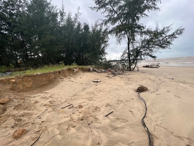 Quang Binh coastline erodes, damaging shrimp farms - 2