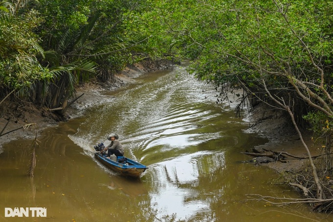 HCM City biosphere reserve nominated as Ramsar site - 6