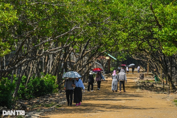 HCM City biosphere reserve nominated as Ramsar site - 7