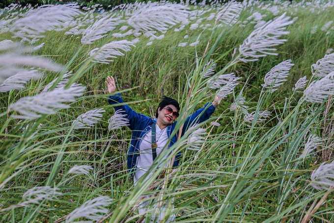 Danang white reed field captivates visitors - 4