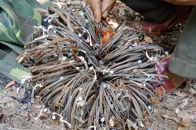 Thousands of animal traps found in central national park - 1