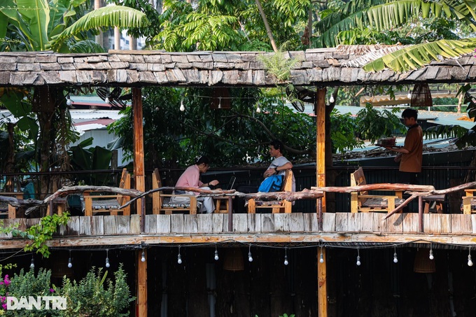 Tropical rainforest-style coffee shop draws customers - 2