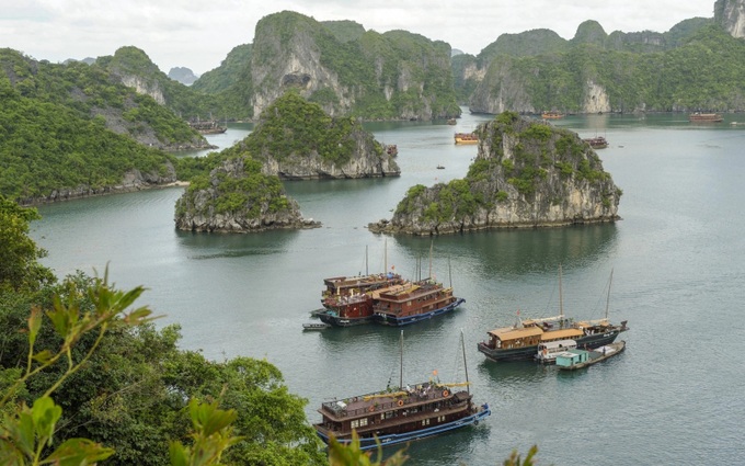 Quang Ninh to replace all wooden tourist boats with steel - 1