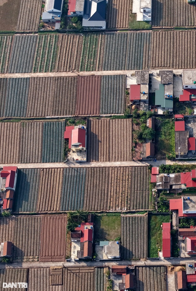 The aerial beauty of coastal checkerboard villages - 5