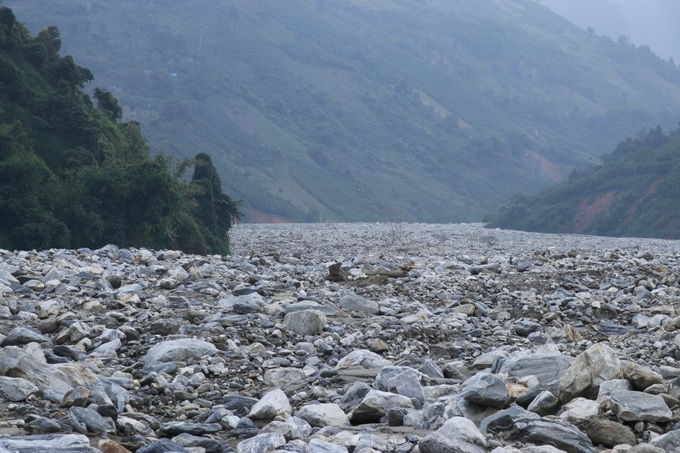 Lao Cai rice fields devastated by typhoon - 3