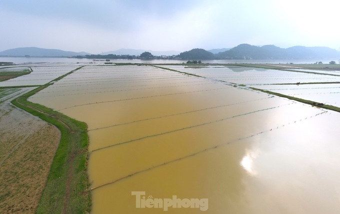 Sandworm hunting season in Nghe An - 5