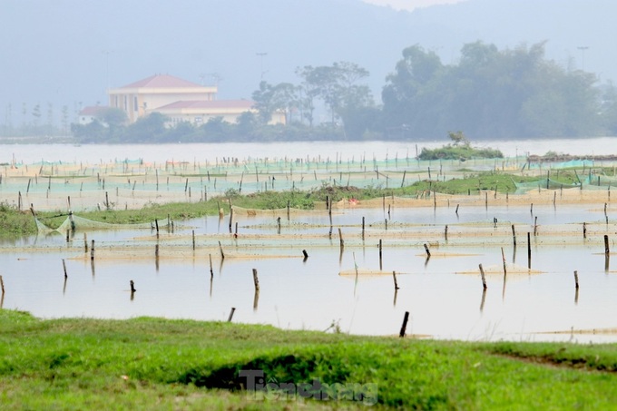 Sandworm hunting season in Nghe An - 1