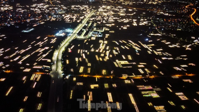 Hanoi flower hub keeps lights on to bloom on time for Tet - 2