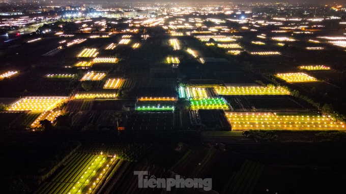 Hanoi flower hub keeps lights on to bloom on time for Tet - 9