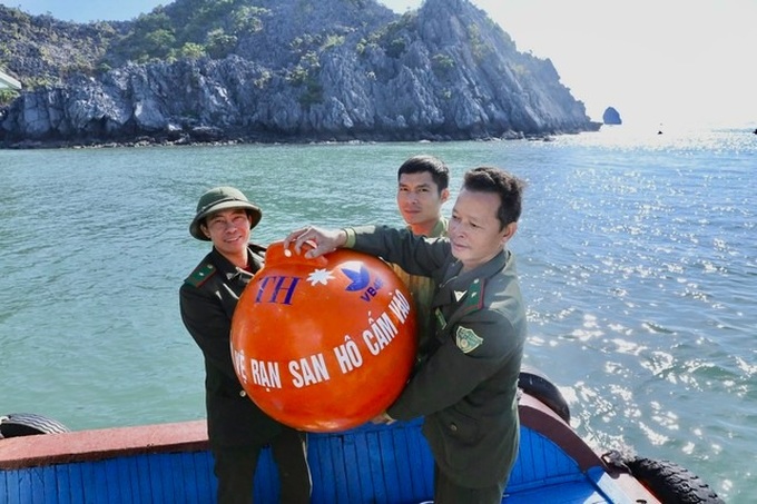 Cat Ba's coral reefs rapidly declining - 6