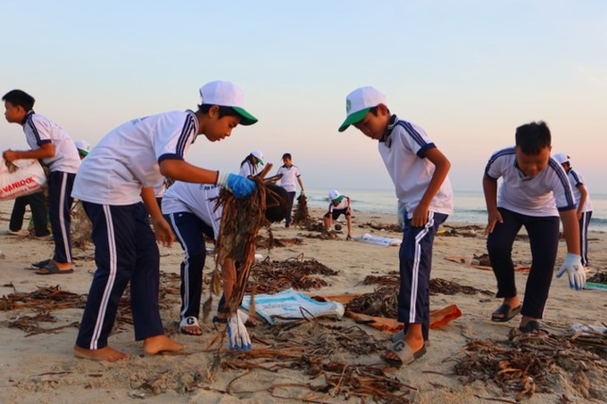 Young volunteers join Quang Nam beach cleanup - 4